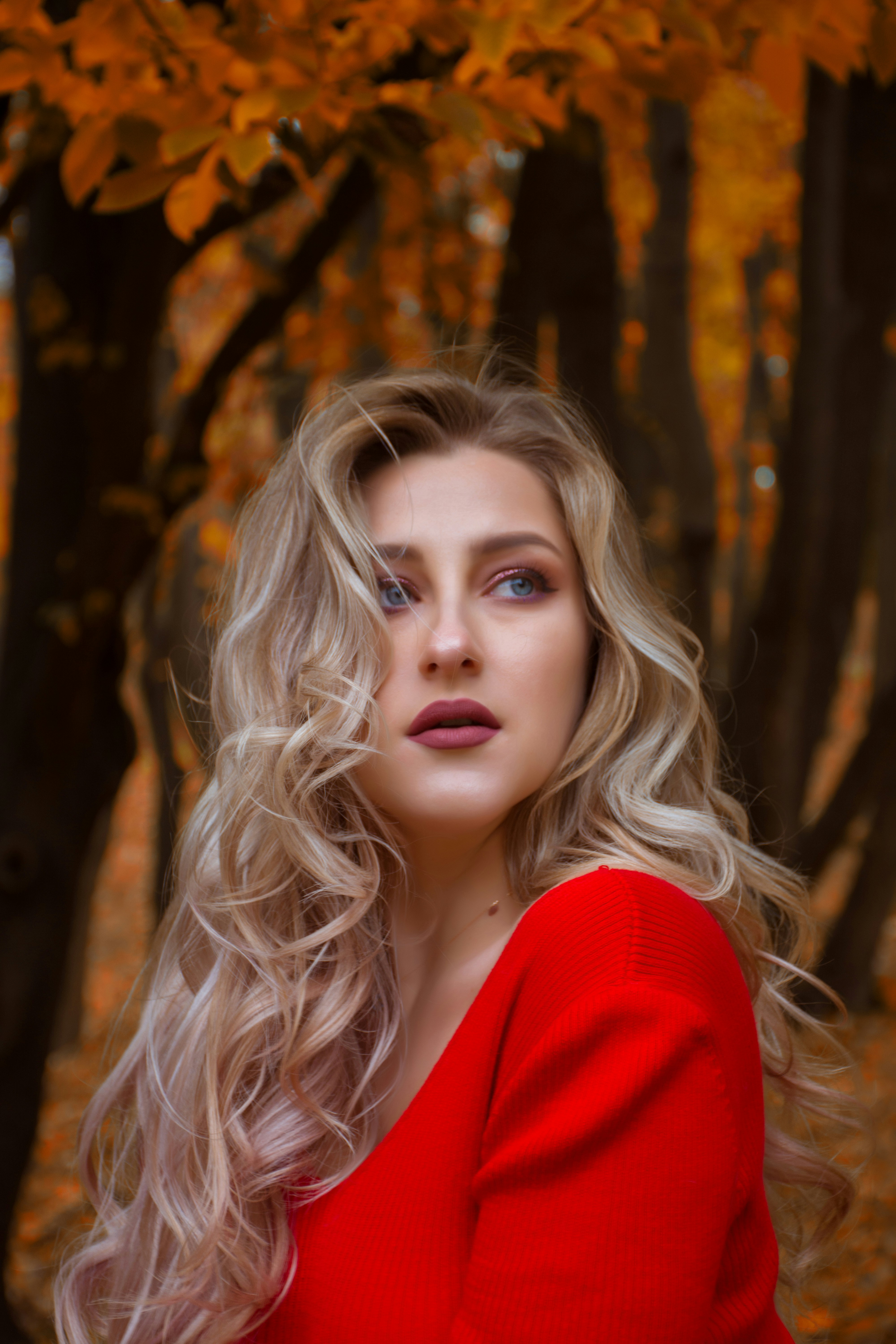 麻花传奇MV完整版免费封面预览 4