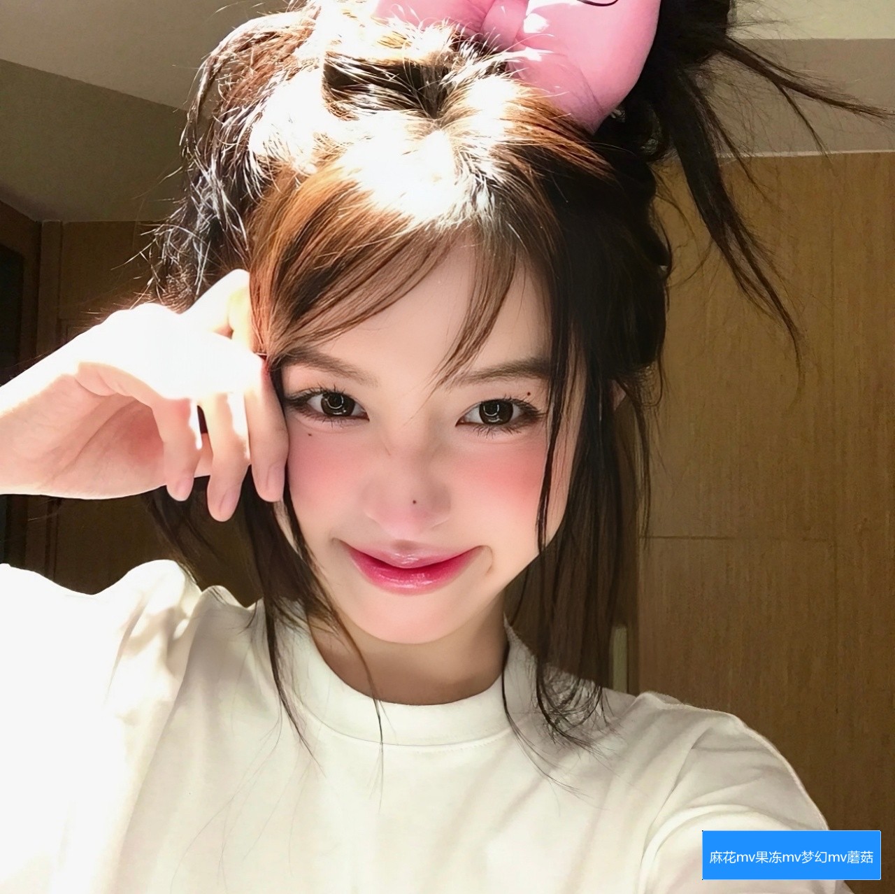 麻花MV中的果冻蘑菇视频是什么意思，它传达了哪些隐藏的寓意？