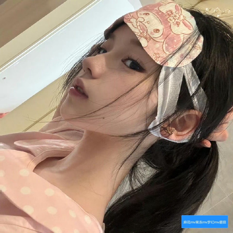 麻花MV、果冻MV、梦幻MV和蘑菇MV有哪些不同之处？它们的风格和主题分别代表什么